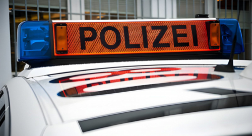 Aarau, Maria Spinelli uccisa al rave: caccia agli autori della sparatoria